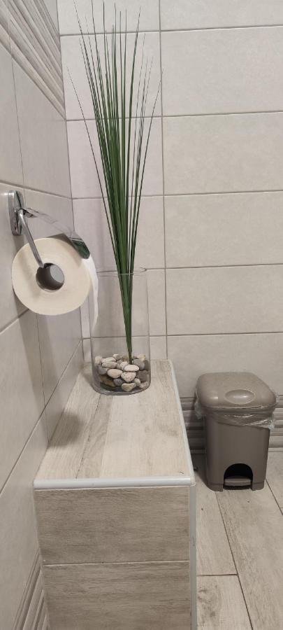 Apartment Damir プーラ エクステリア 写真